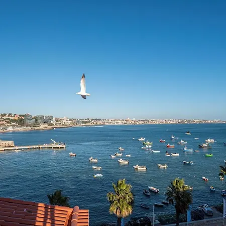 Bay Terrace I Appartement